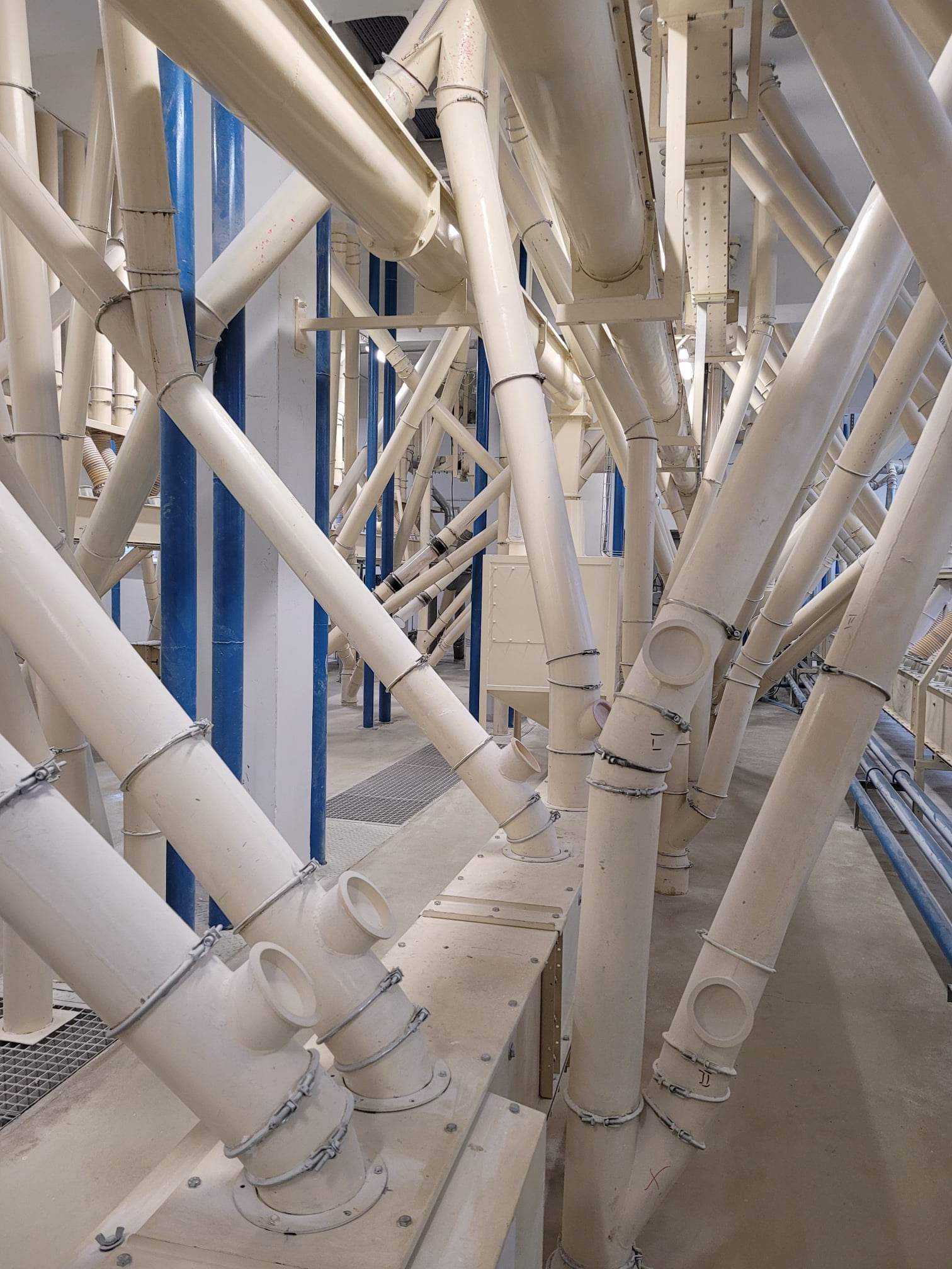 received 1570025203503781