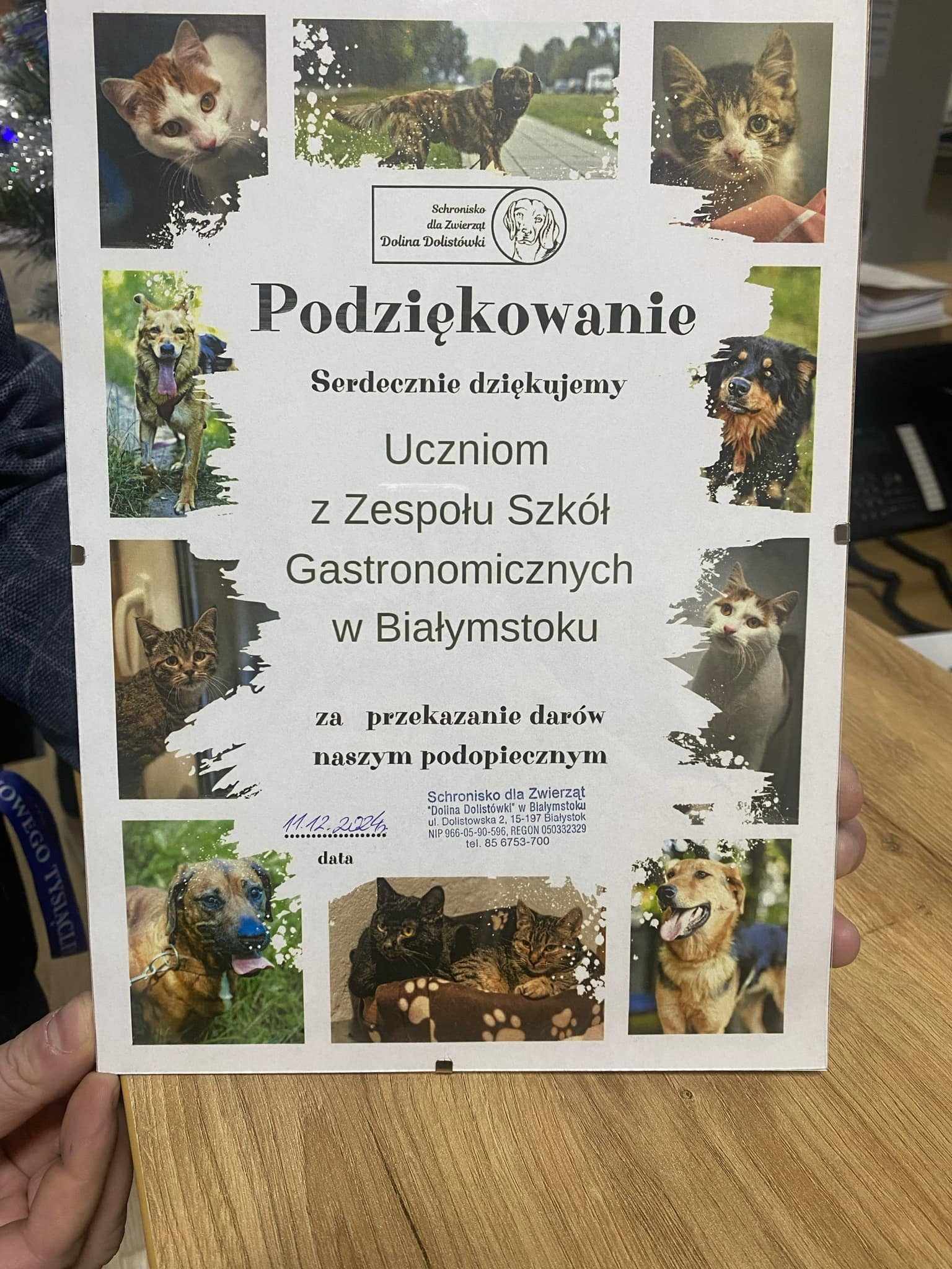 462639393 1995014831015295 6527027082567207913 n