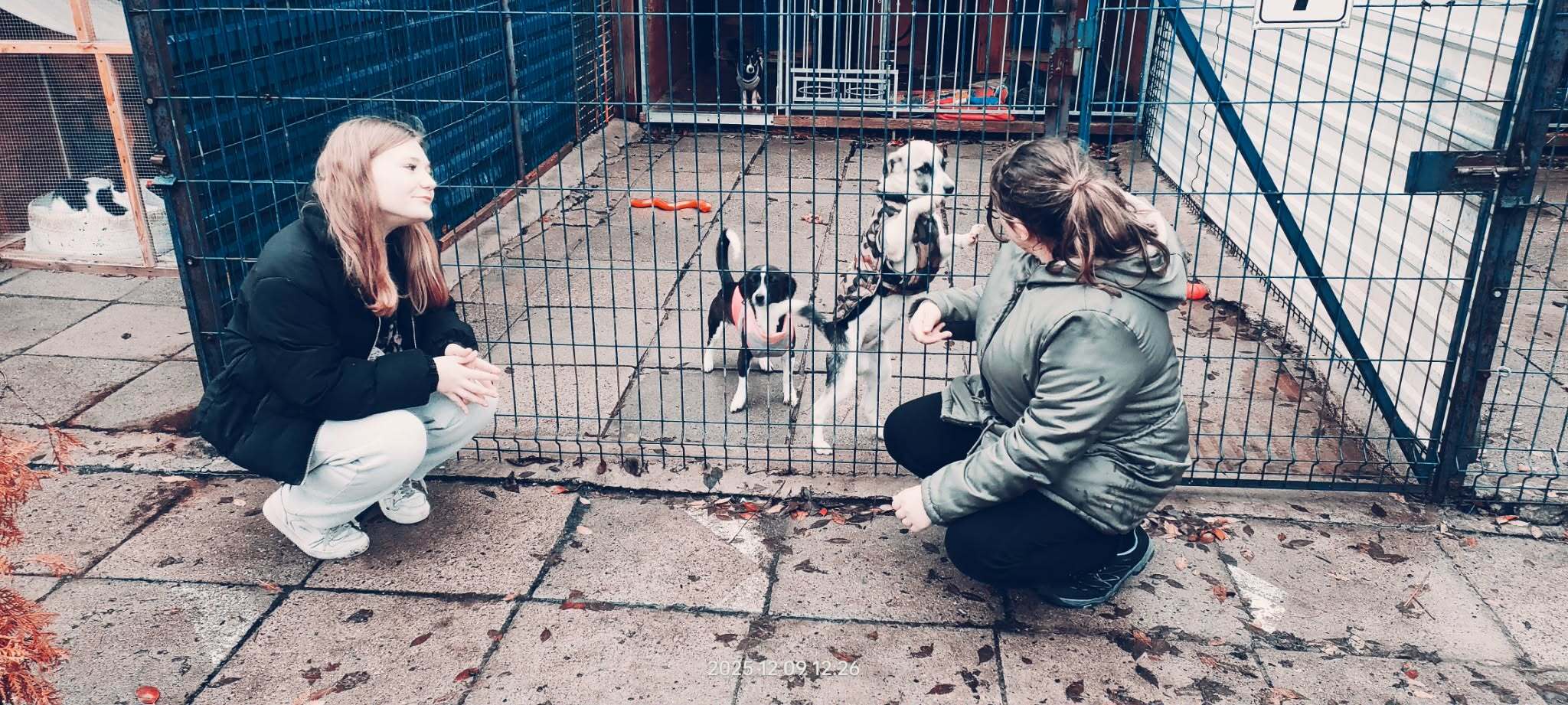 753067d4 5f6d 44f4 94d6 00e91f47fe3d